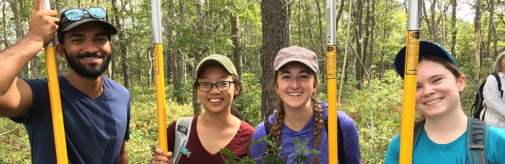 Students doing Terrestrial Biomass Field Work