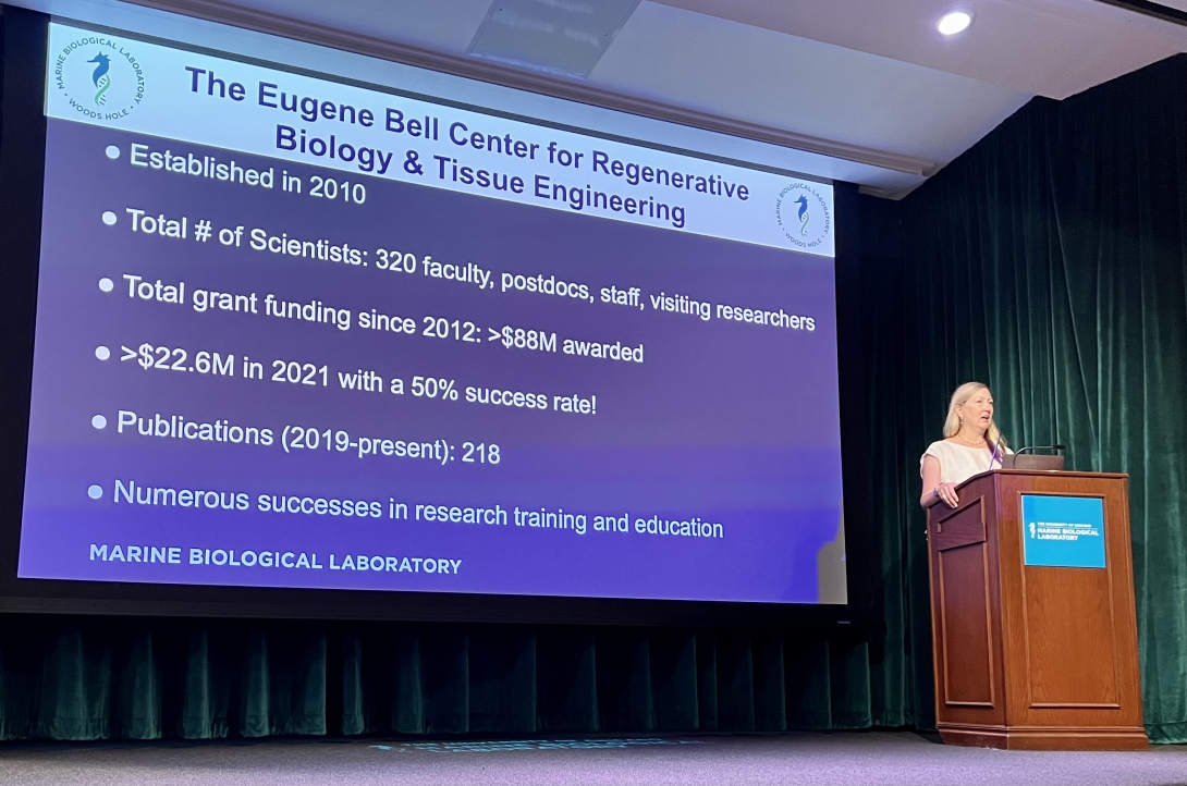 Jennifer Morgan, Director of the  Eugene Bell Center for Regenerative Biology and Tissue Engineering, talks about the history of the center at MBL. Credit Maria Silva