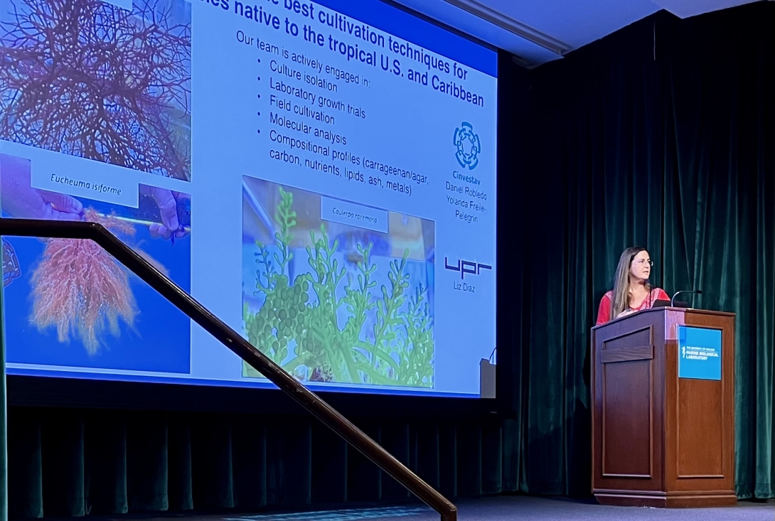 MBL's Loretta Roberson talks about her research at the Bell Center Symposium. Credit: Maria Silva