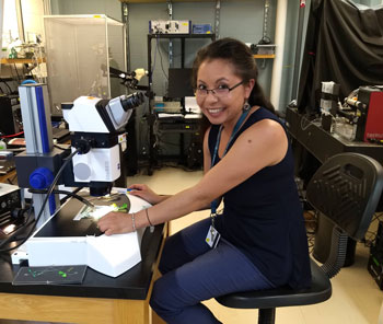 2019 Grass Fellow Alejandra Gonzalez Gonzalez in the Grass Lab at MBL.