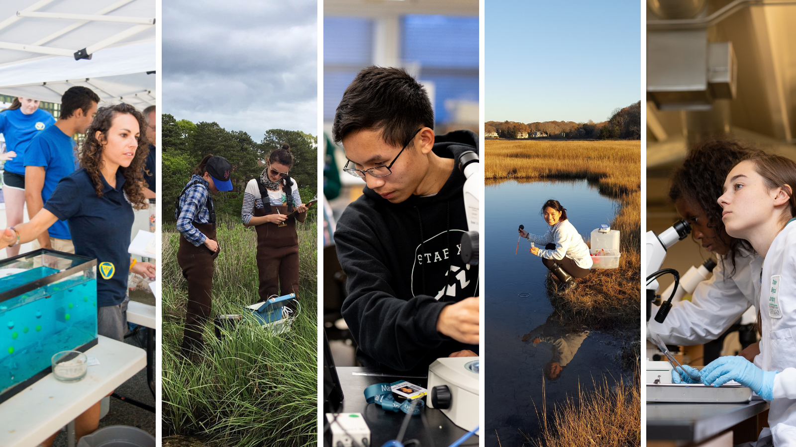 a collage of interns doing activities