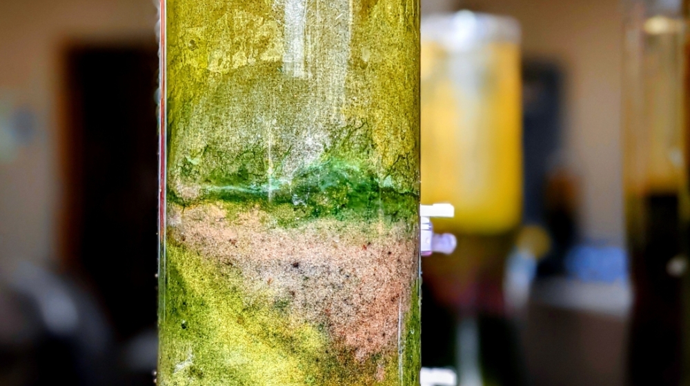 A Winogradsky column, which consists of sediment and water augmented with nutrients and food sources to study sediments.