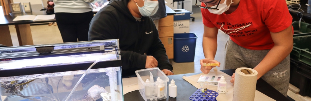 two students at a fish tank