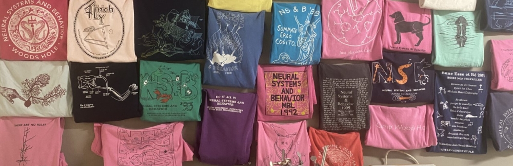 A montage of course T-shirts from past years outside the Neural Systems & Behavior lab in Loeb Laboratory. Credit: Diana Kenney
