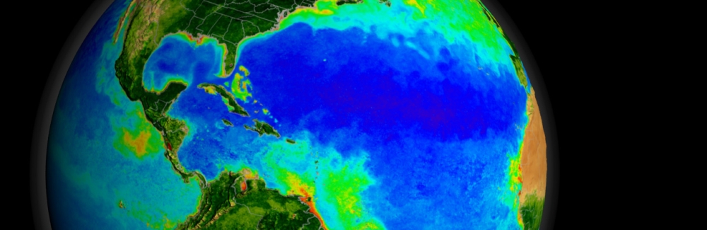 Phytoplankton blooms in the global ocean. Credit: NASA Goddard
