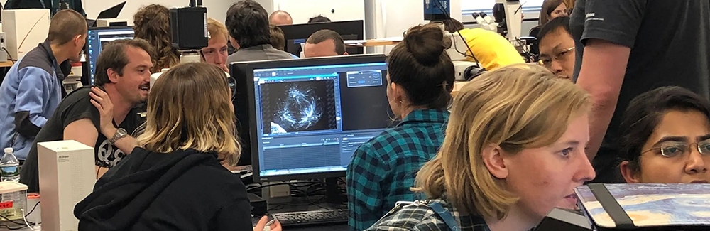 Image processing lab during AQLM 2019 in Woods Hole. Credit: Rebecca Adikes