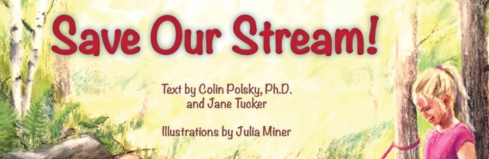 Save Our Stream book cover