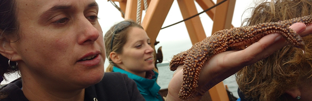 Woman holding a starfish on a boat