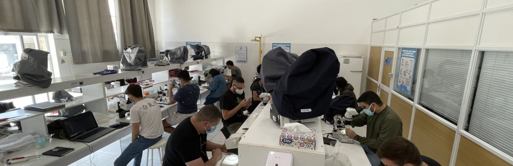 Students in the the lab during the flatworm (Planaria) module of the 2023 EMBO Practical Course in Developmental Biology. Credit: A. Sanchez Alvarado