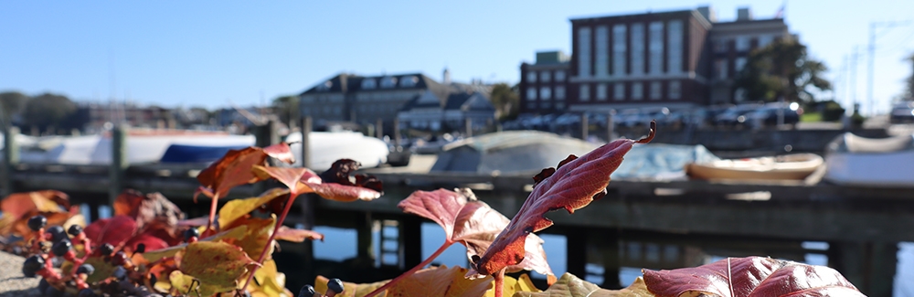 MBL Campus and Eel Pond in Autumn. Credit Emily Greenhalgh/MBL