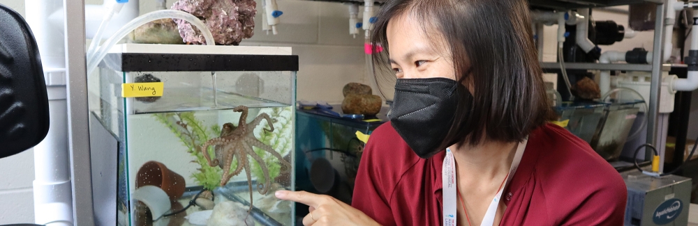 Z. Yan Wang with California two-spot octopus