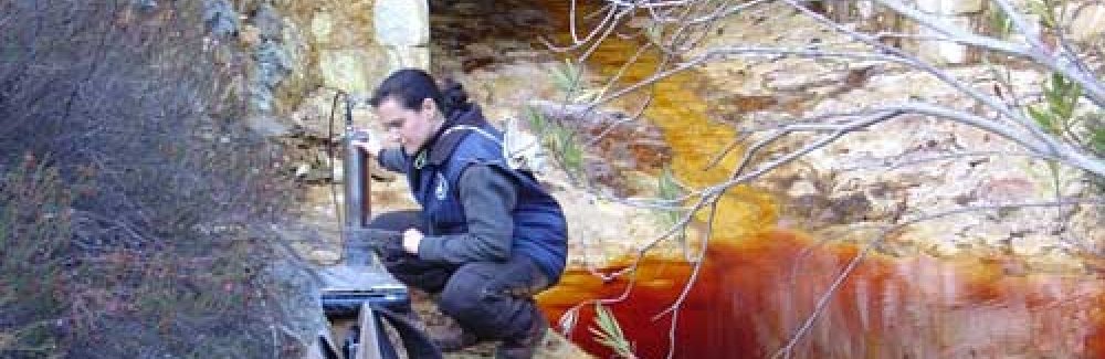 Linda Amaral Zettler works at the Rio Tinto river in 2005.