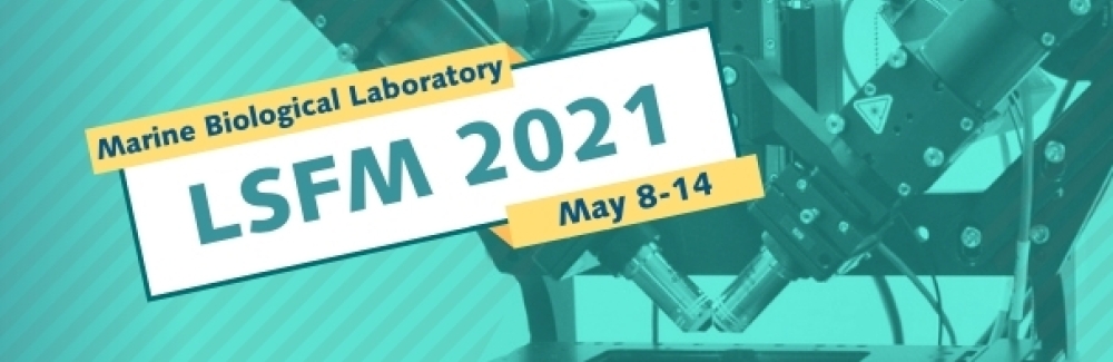 LSFM banner with microscope in background