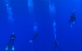 Custom-made underwater cameras allowed divers to see the three-dimensional movement of salp colonies. Credit: Sean Colin