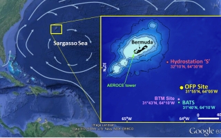 site map oceanic flux program