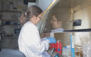 A screengrab from a "Day in the Life" Video of University of Chicago Metcalf Intern Marta Pantin. She sits at a vent hood in a lab coat