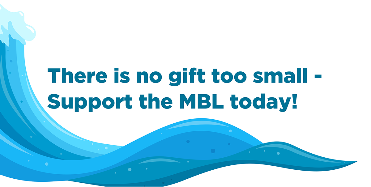 "There is no gift too small - support the MBL today" banner with wave