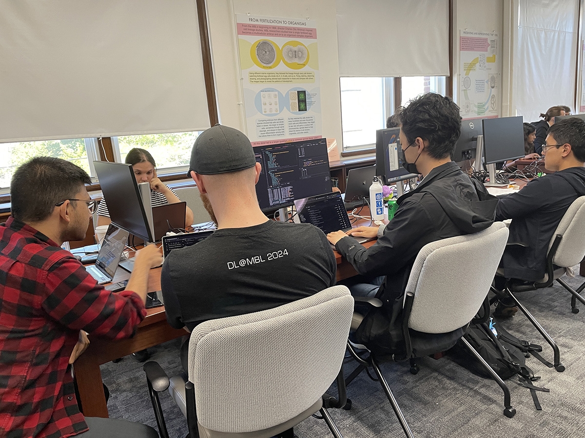 Fifteen teaching assistants participated in Deep Learning @ MBL over the course’s two weeks.  Here, the “TA table” prepares for the students’ data presentations. 