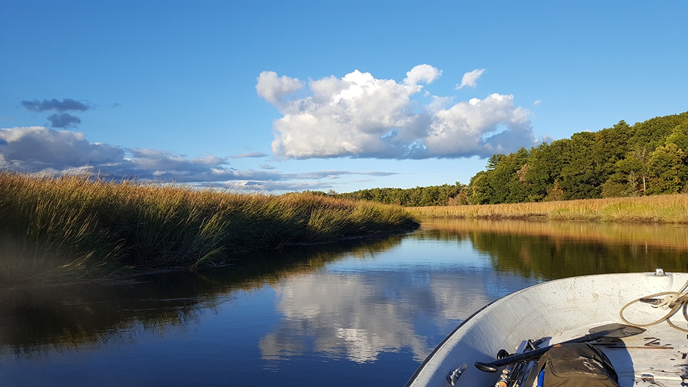 Tidal salt marsh at Plum Island