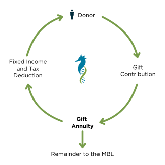 Gift Annuity Graphic