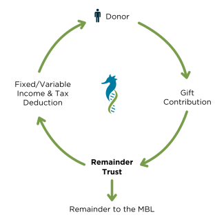 Remainder Trust Graphic