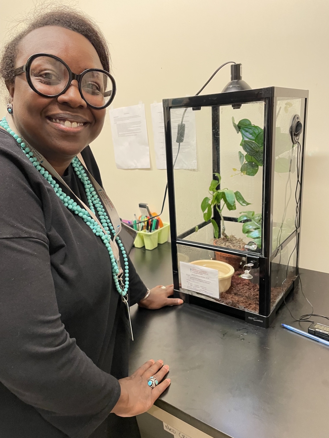 MBL Whitman Fellow Sally Seraphin near a glass frog tank