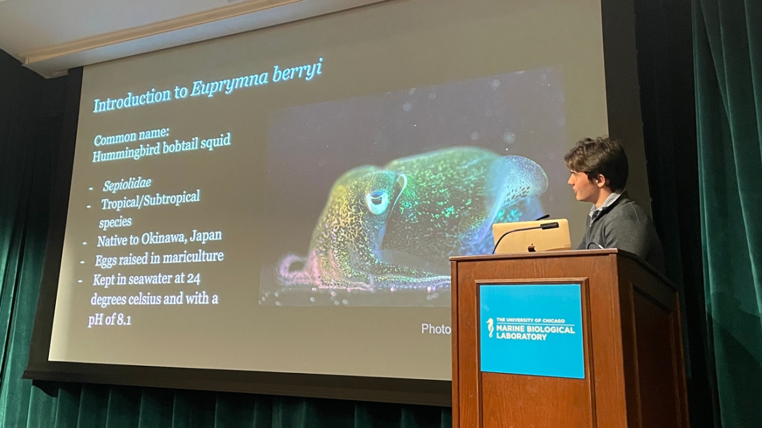 Nathaniel Woods, Dickinson College - Discovering the Effects of Stressors on Euprymna berryi Embryonic Growth and Early Development