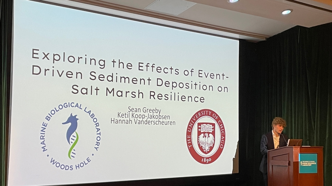 Sean Greeby, University of Chicago - Exploring the Effects of Event-Driven Sediment Deposition on Salt Marsh Resilience