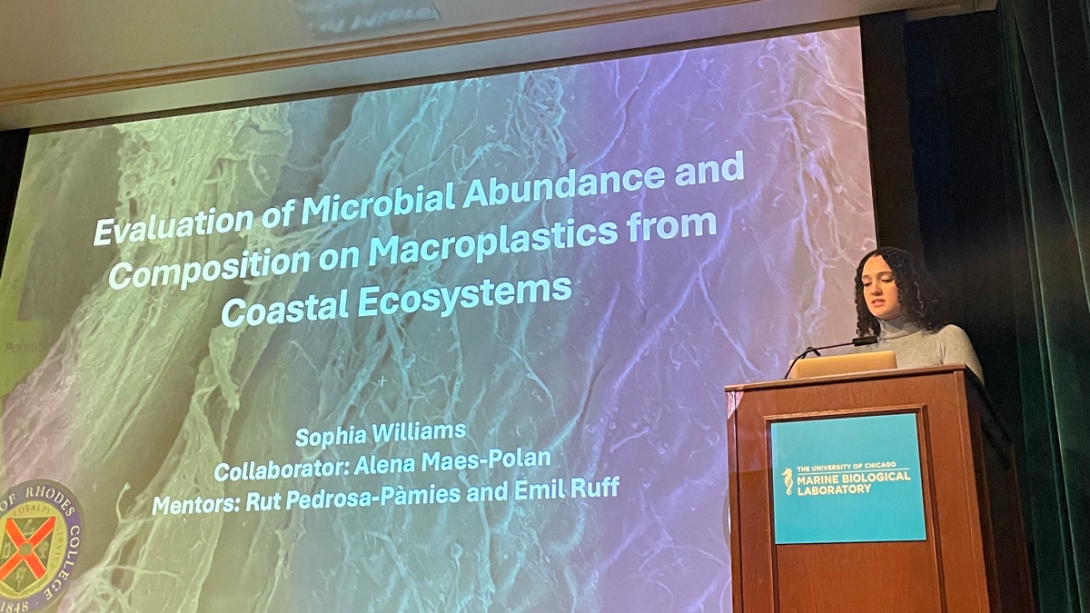 Sophia Williams, Rhodes College - Evaluation of Microbial Abundance and Composition on Macroplastics from Coastal Ecosystems