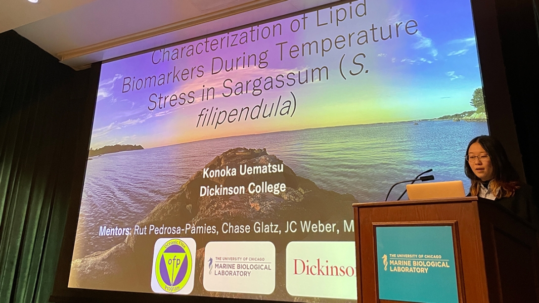 Konoka Uematsu, Dickinson College - Characterization of Lipid Biomarkers during Temperature Stress in Sargassum (S. filipendula)