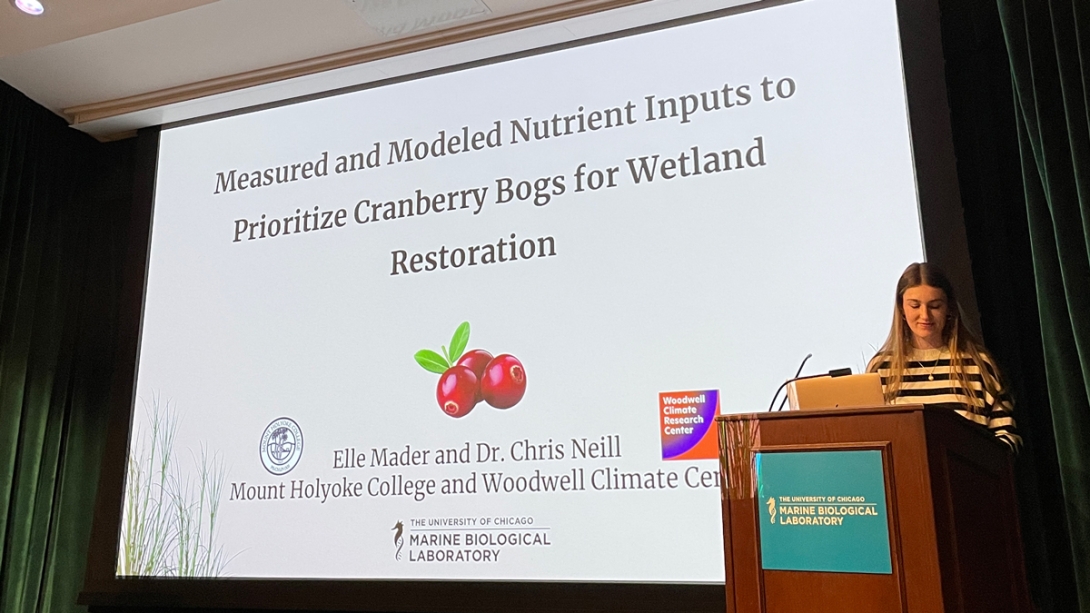 Elle Mader, Mt. Holyoke College - Measured and Modeled Nutrients of Cranberry Bogsheds and a Vegetation Denitrification Assay to Prioritize Cranberry Bogs for Wetland Restoration