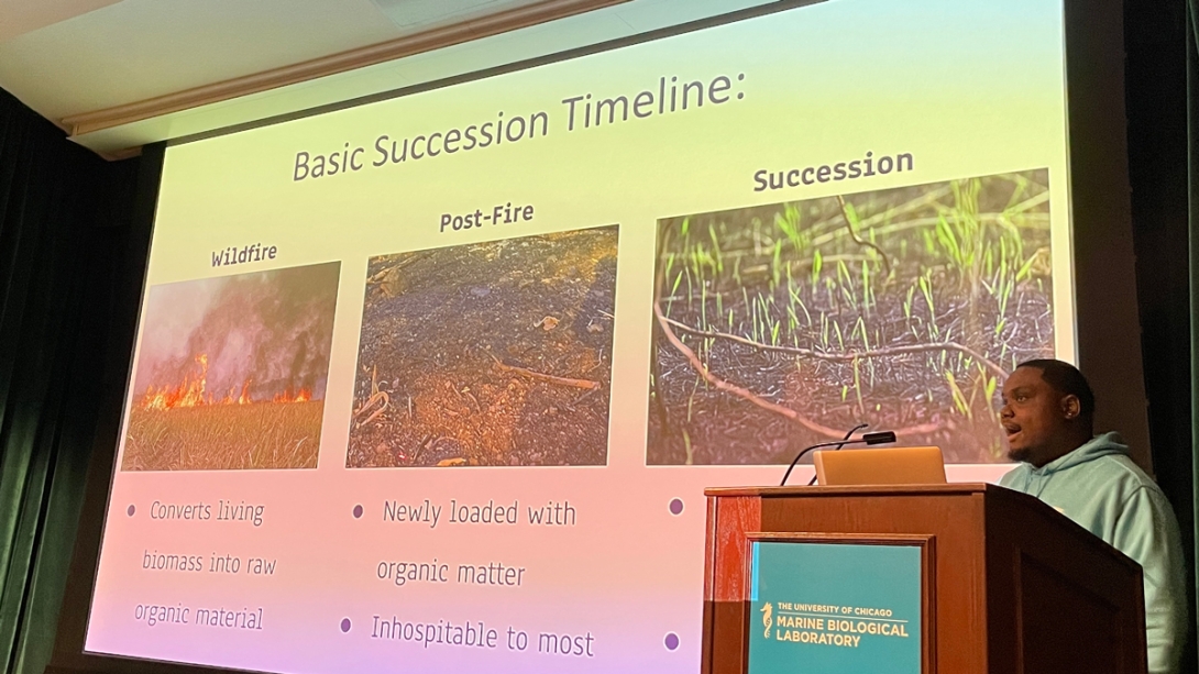 Cameron Johnson, Bethune Cookman University - Examining wildfire survivorship & post-fire metabolism within forest soil microbiomes